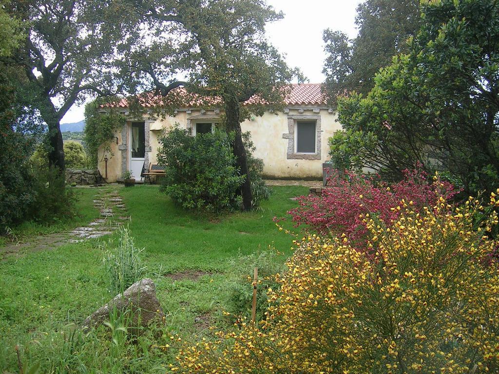 La Scala Guesthouse Berchiddeddu Exterior foto